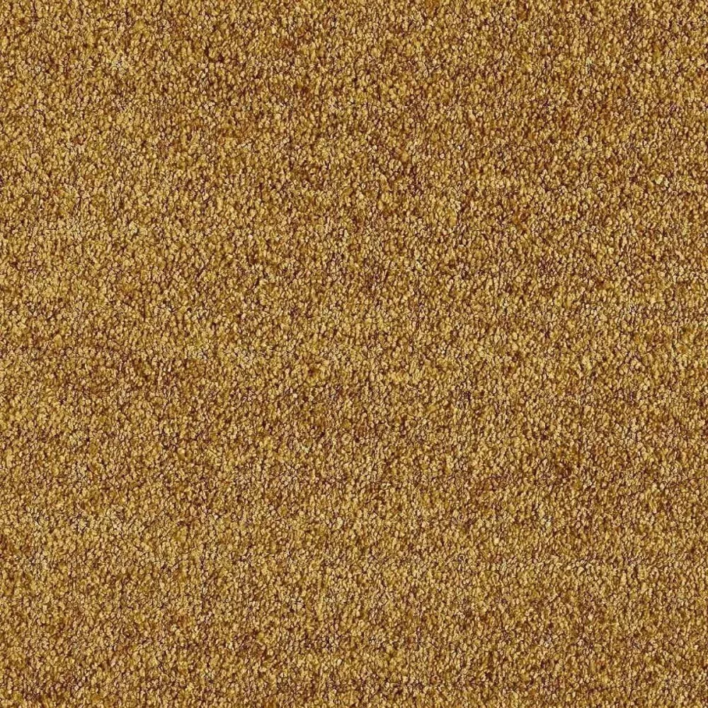 Heltäckningsmatta Euphoria Gold Leaf 370 400cm
